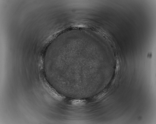 X0000115370465200911241244