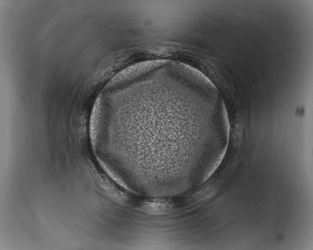 X0000115370466200911241244
