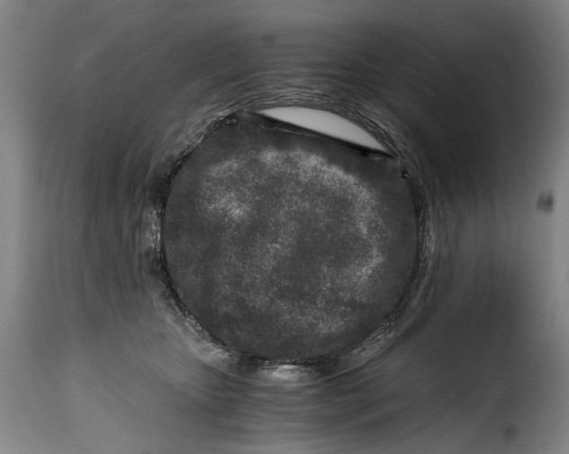 X0000115370467200911241244