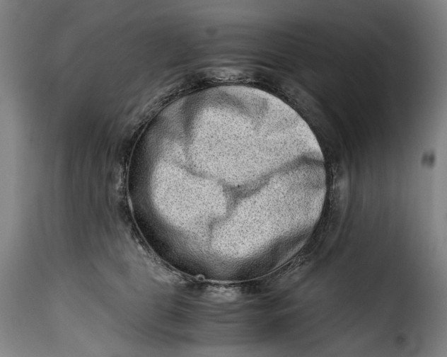 X0000115370469200911241244