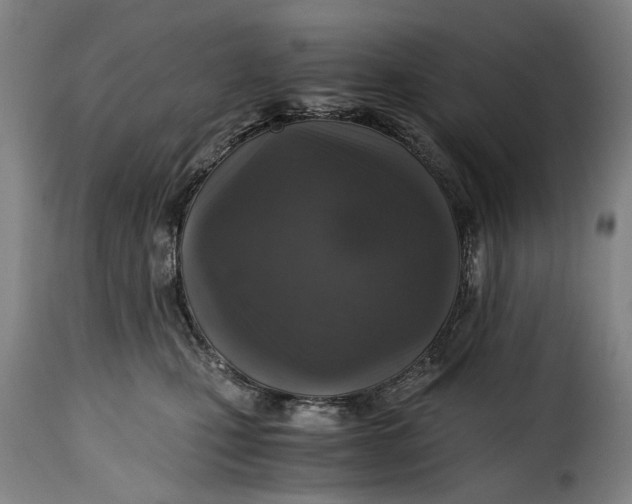 X0000115370471200911241244