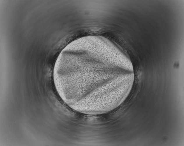 X0000115370472200911241244