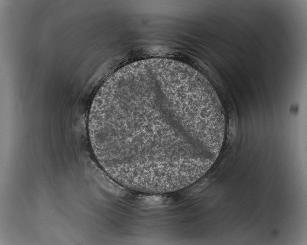 X0000115370473200911241244