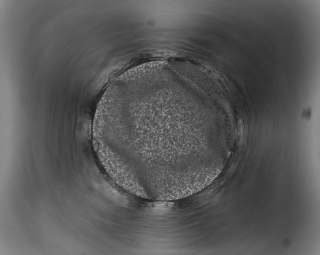 X0000115370474200911241244