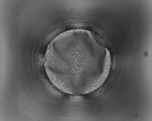 X0000115370476200911241244
