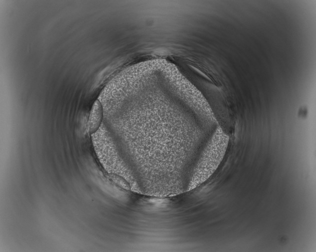 X0000115370478200911241244