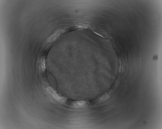 X0000115370479200911241245