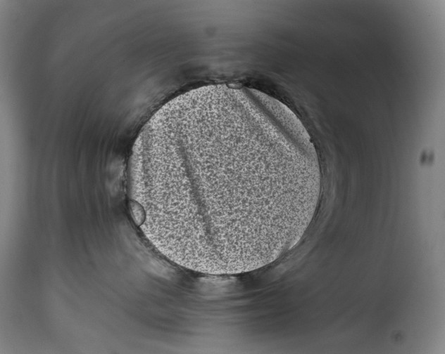 X0000115370480200911241245