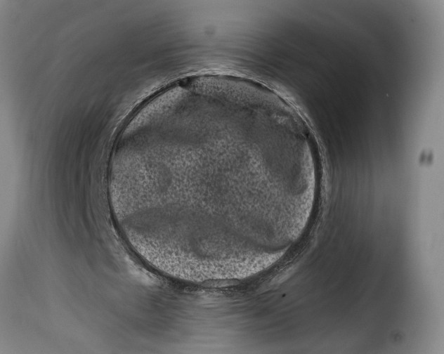 X0000115370481200911241244