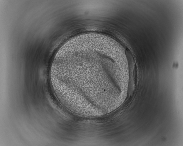 X0000115370482200911241244