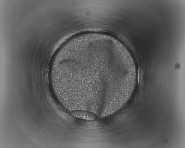 X0000115370483200911241244