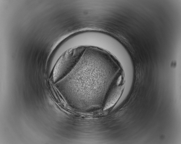 X0000115370484200911241244