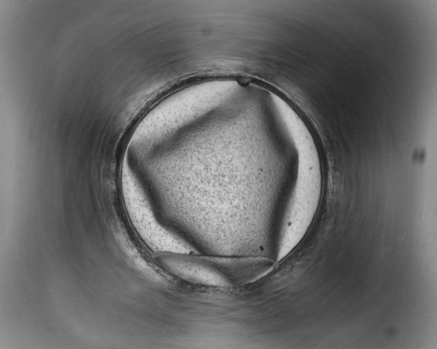 X0000115370485200911241244