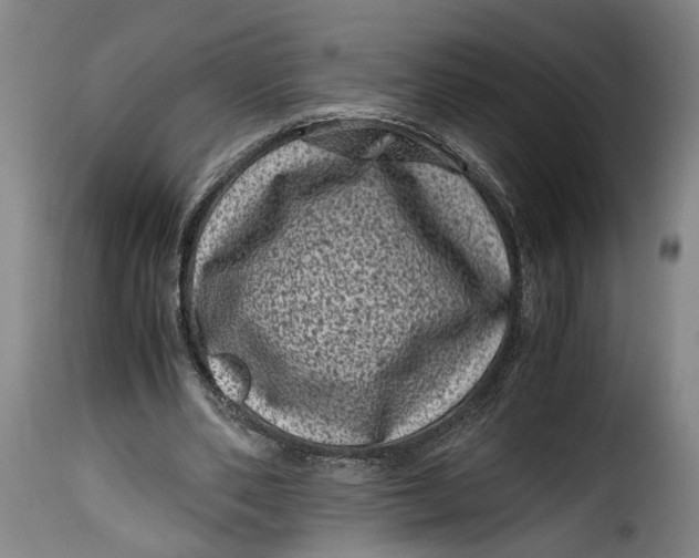X0000115370486200911241244