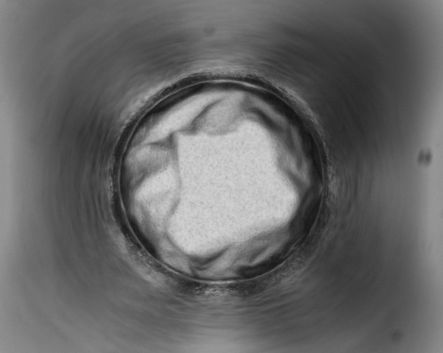 X0000115370487200911241244