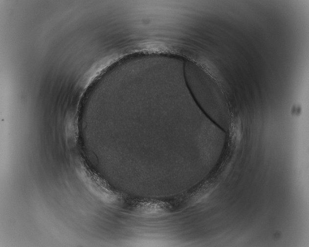 X0000115370488200911241244