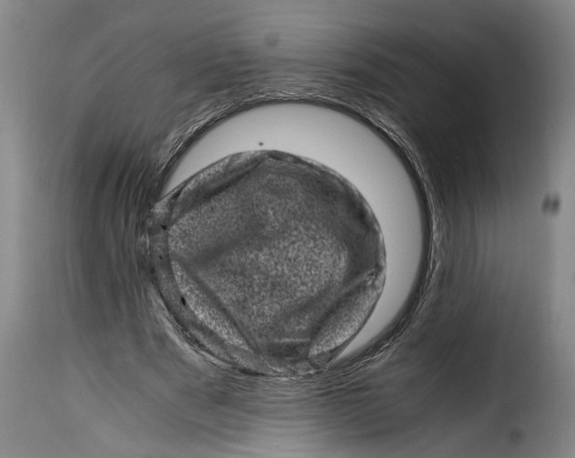 X0000115370489200911241244