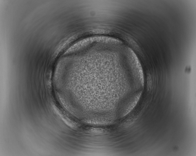 X0000115370490200911241244