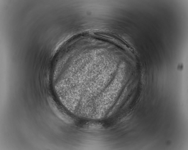 X0000115370491200911241244