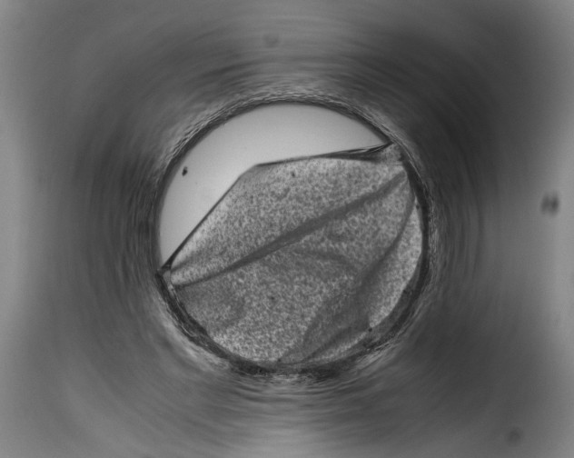 X0000115370493200911241244