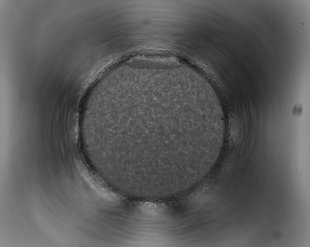 X0000115370494200911241244