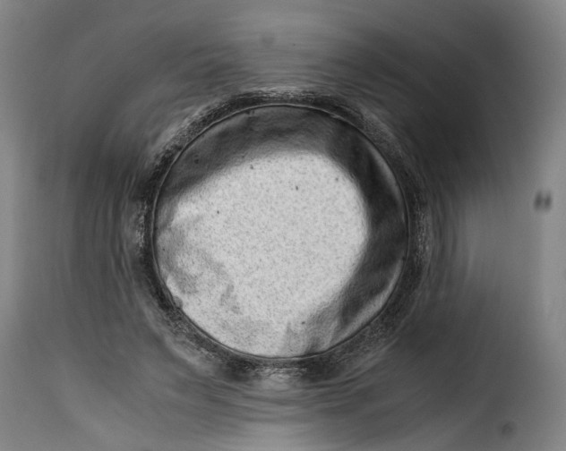 X0000115370495200911241244