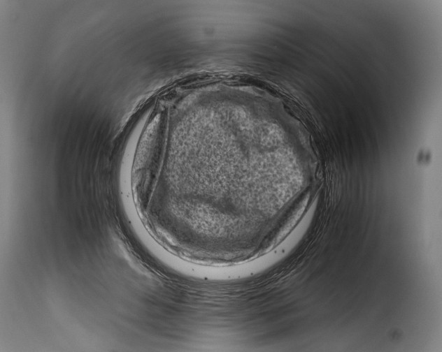 X0000115370496200911241244