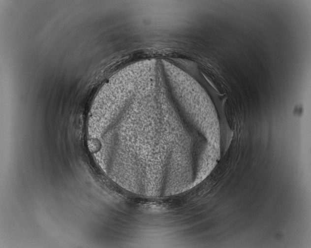 X0000115370498200911241244