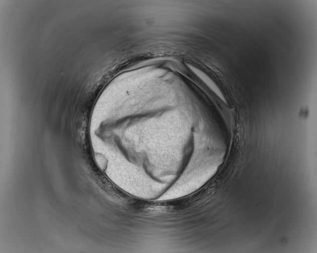 X0000115370499200911241244