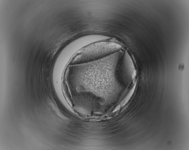 X0000115370500200911241244