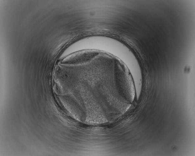 X0000115370501200911241244