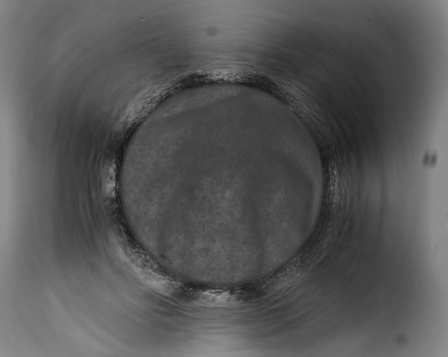 X0000115370502200911241244