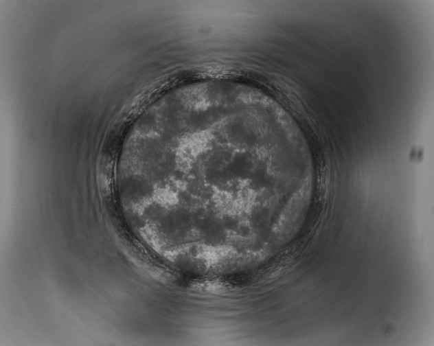 X0000115370503200911241244