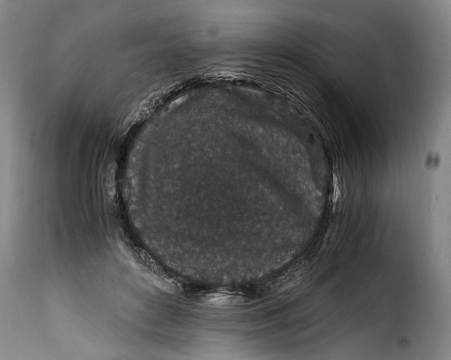 X0000115370504200911241244