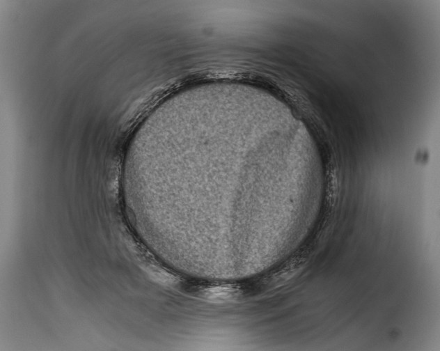 X0000115370505200911241244