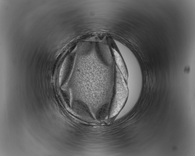 X0000115370508200911241243