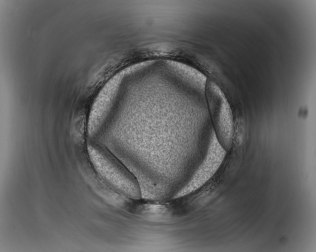 X0000115370509200911241243