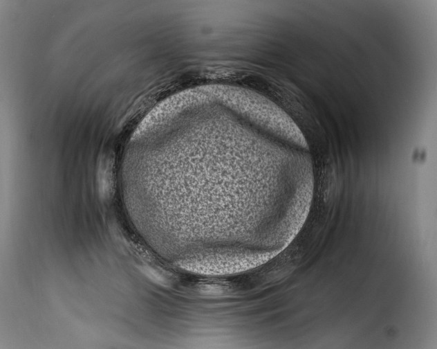 X0000115370510200911241243