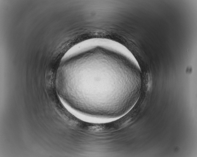 X0000115370511200911241243