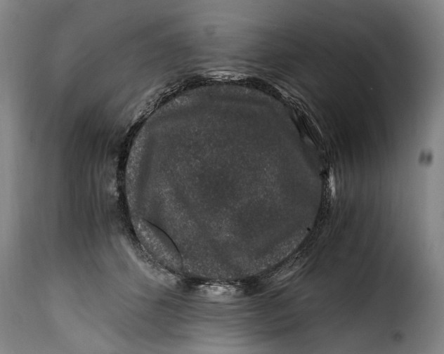 X0000115370512200911241243
