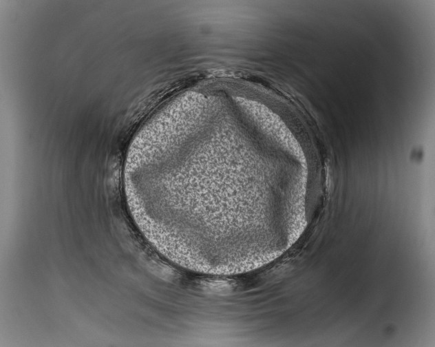 X0000115370513200911241243
