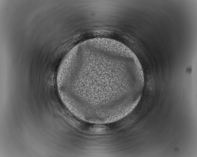 X0000115370514200911241243