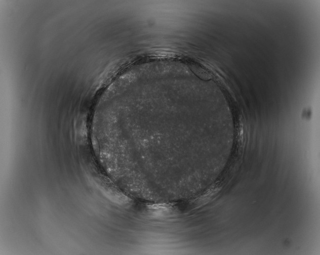 X0000115370516200911241243