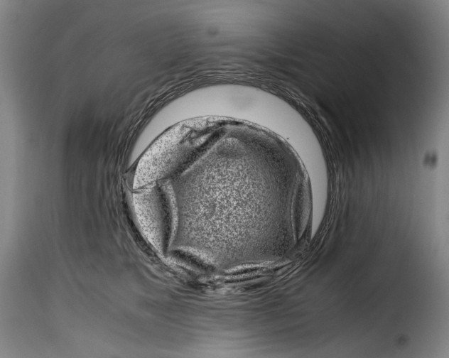 X0000115370517200911241243