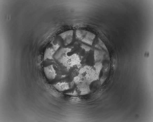 X0000115370519200911241243