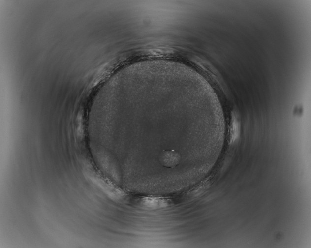 X0000115370520200911241243