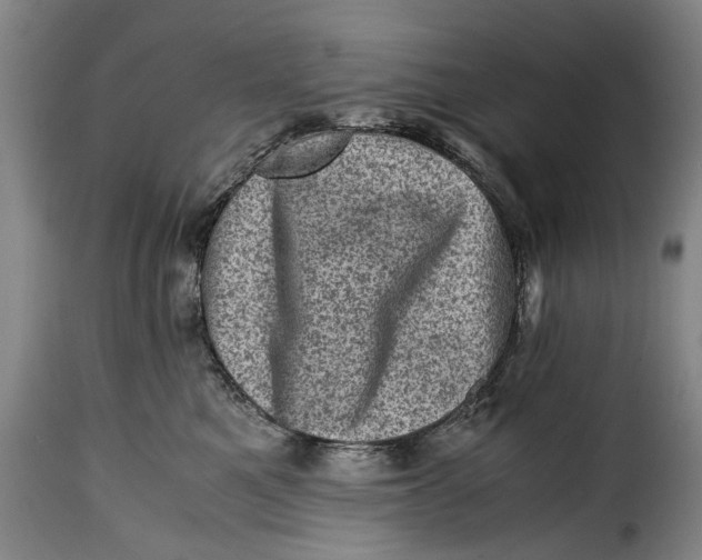 X0000115370521200911241243