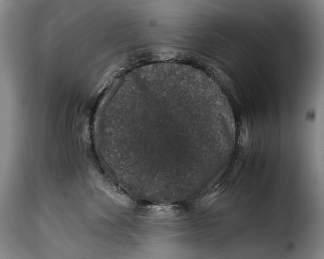X0000115370524200911241243