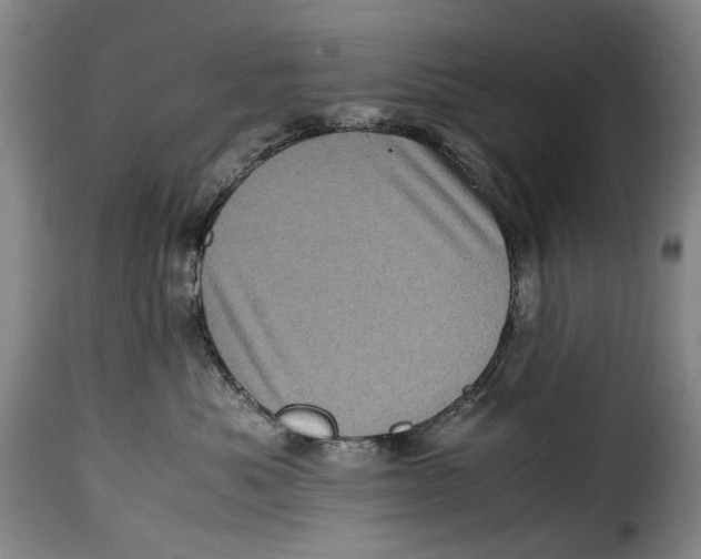 X0000115370525200911241243