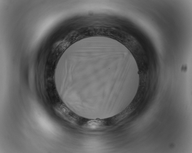 X0000115370526200911241243